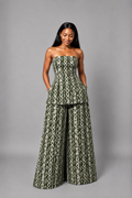 The Zahara set: Green theory